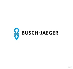 Busch-Jaeger Feinsicherung 6,3AF 2173