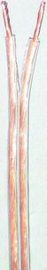 E+P Lautsprecher-Kabel 2x0,75qmm DIS275T/20(VE20m) (1 Pack)