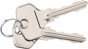 Elcom Schlüssel für WINX Aussenstation REH020Y