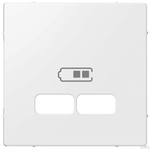 Elso Zentralplatte für USB rws Ladestation-Einsatz ELG363204