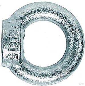 Fischer Ringmutter RI M10 (10 Stück)