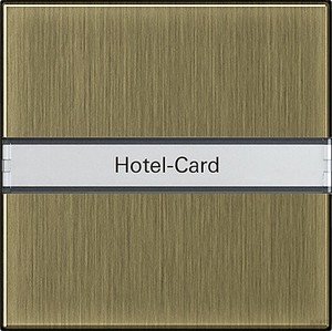 Gira Hotel-Card-Taster BSF brz BSF System 55 0140603