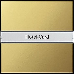 Gira Hotel-Card-Taster BSF ms BSF System 55 0140604