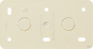 Gira Montageplatte 2f.cws AP 008013