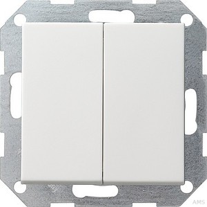 Gira Tast-Serienschalter rws System55 012527