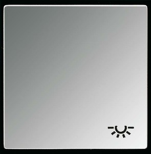 Jung Wippe Symbol LICHT gl.chr für Taster GCR 2990 L
