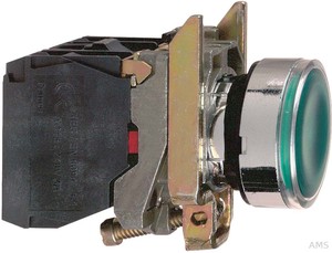 Schneider Electric Leuchtdrucktaster 1S1Ö gn LED-M. 24V XB4BW33B5